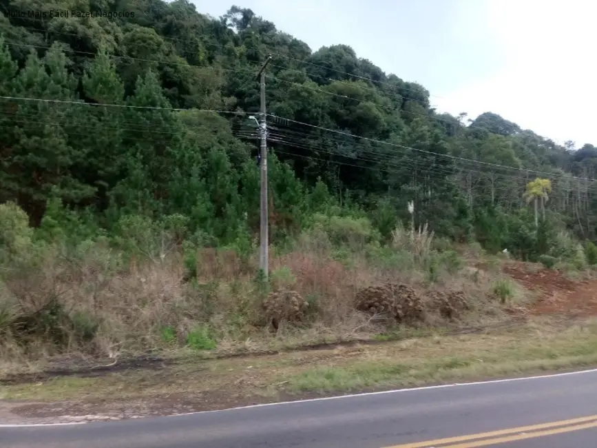 Foto 1 de Terreno / Lote à venda, 430m2 em Nova Petropolis - RS