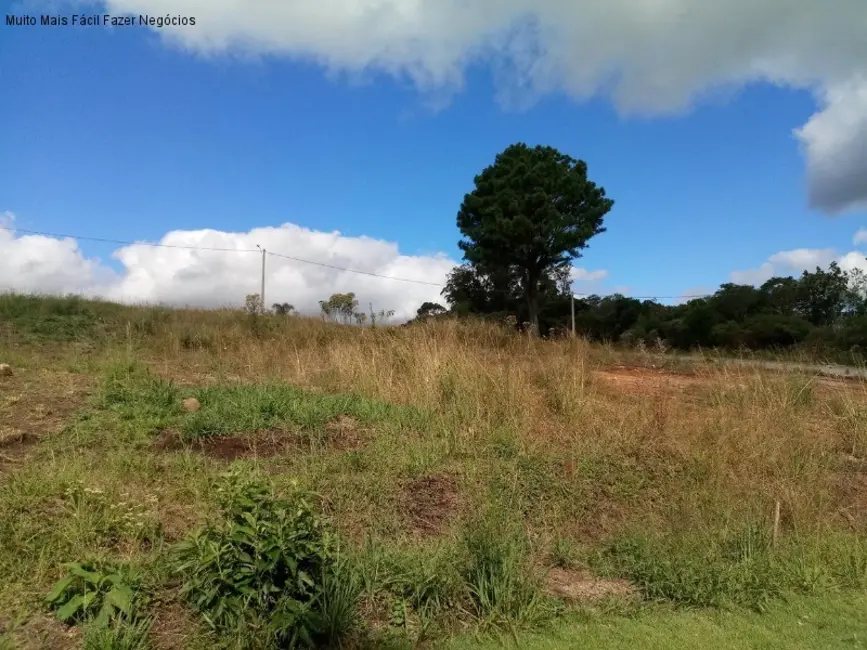 Terreno / Lote à venda, 371m2 em Nova Petropolis - RS - imagem 2 Foto 2 de Terreno / Lote à venda, 371m2 em Nova Petropolis - RS