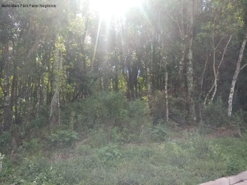 Terreno / Lote à venda, 371m2 em Nova Petropolis - RS - imagem 3 Foto 3 de Terreno / Lote à venda, 371m2 em Nova Petropolis - RS