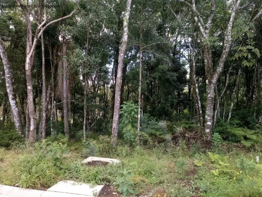 Foto 1 de Terreno / Lote à venda, 371m2 em Nova Petropolis - RS