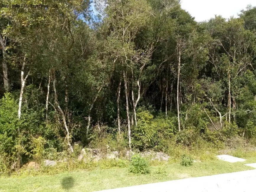 Terreno / Lote à venda, 369m2 em Nova Petropolis - RS - imagem 2 Foto 2 de Terreno / Lote à venda, 369m2 em Nova Petropolis - RS