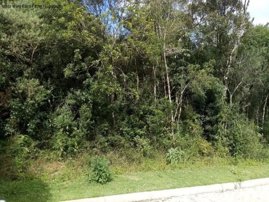 Terreno / Lote à venda, 371m2 em Nova Petropolis - RS - imagem 2 Foto 2 de Terreno / Lote à venda, 371m2 em Nova Petropolis - RS