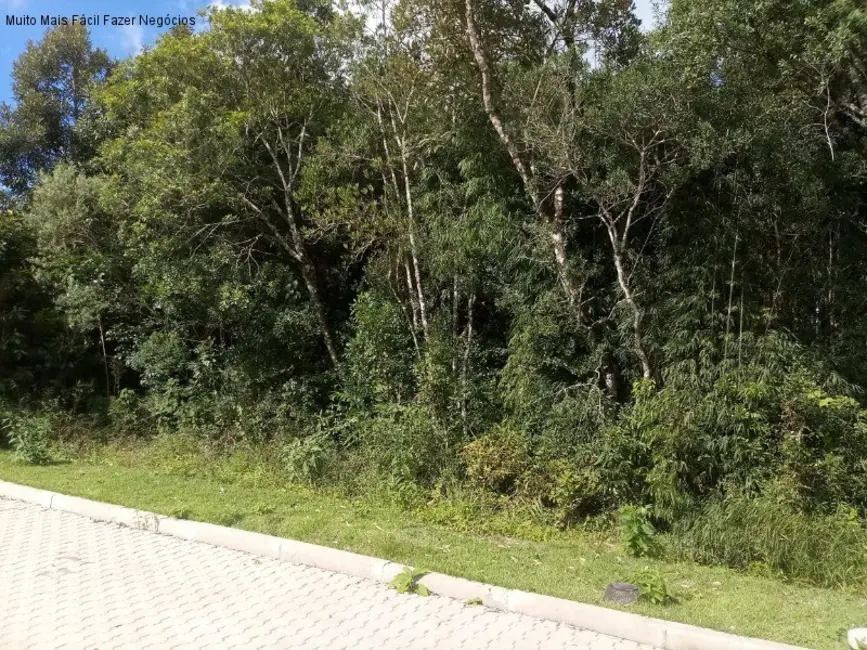 Foto 1 de Terreno / Lote à venda, 371m2 em Nova Petropolis - RS