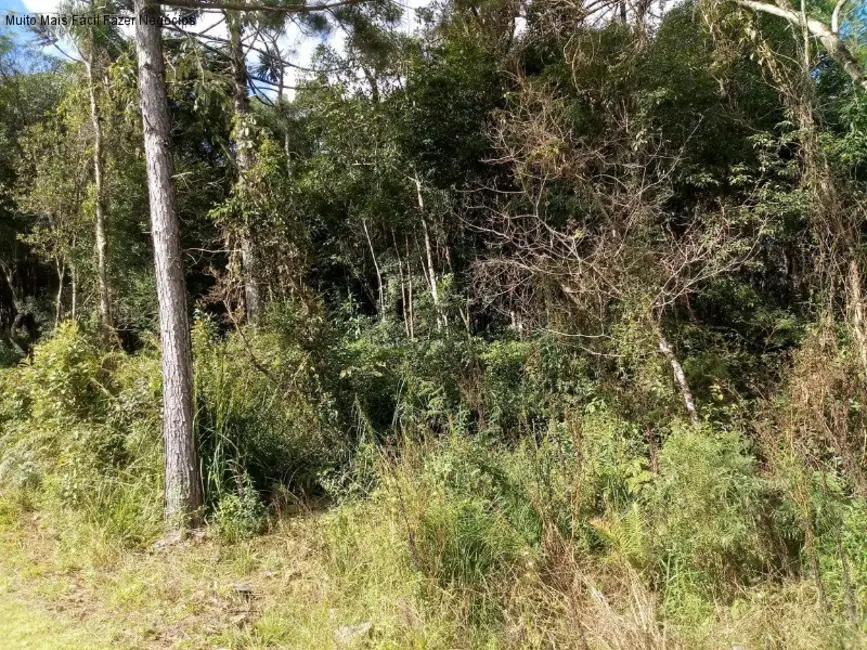 Terreno / Lote à venda, 371m2 em Nova Petropolis - RS - imagem 3 Foto 3 de Terreno / Lote à venda, 371m2 em Nova Petropolis - RS