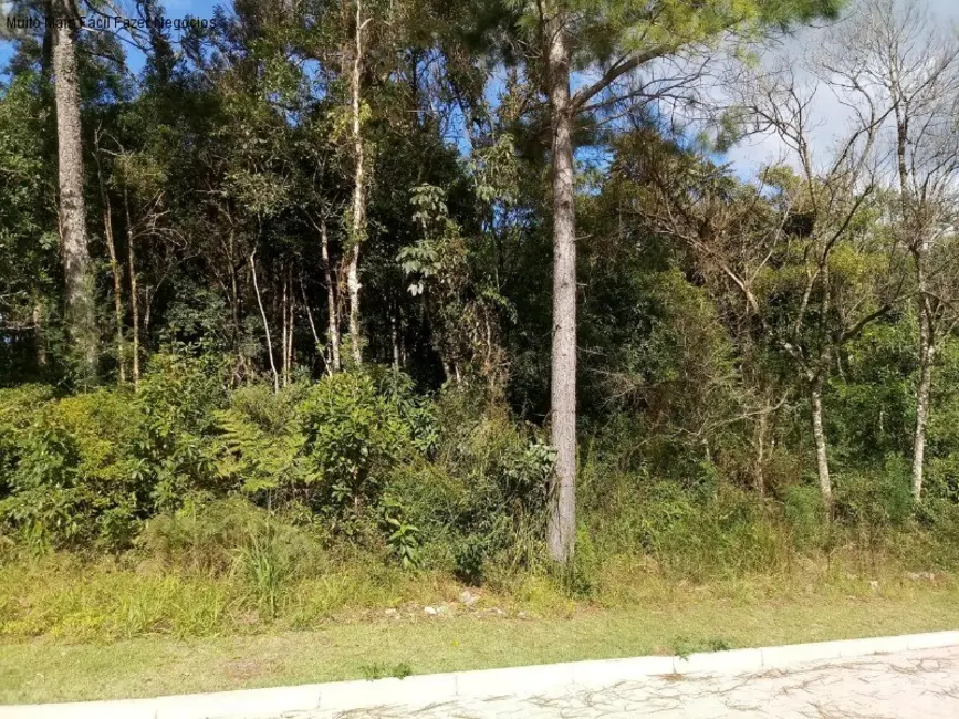 Foto 1 de Terreno / Lote à venda, 371m2 em Nova Petropolis - RS