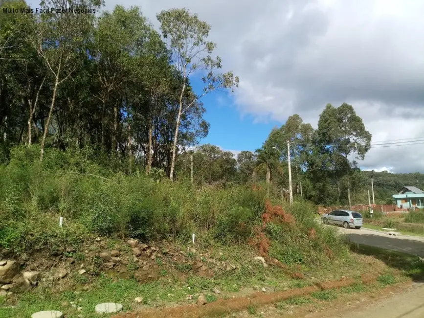 Foto 1 de Terreno / Lote à venda, 386m2 em Nova Petropolis - RS