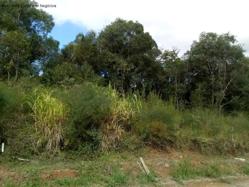 Foto 2 de Terreno / Lote à venda, 390m2 em Nova Petropolis - RS