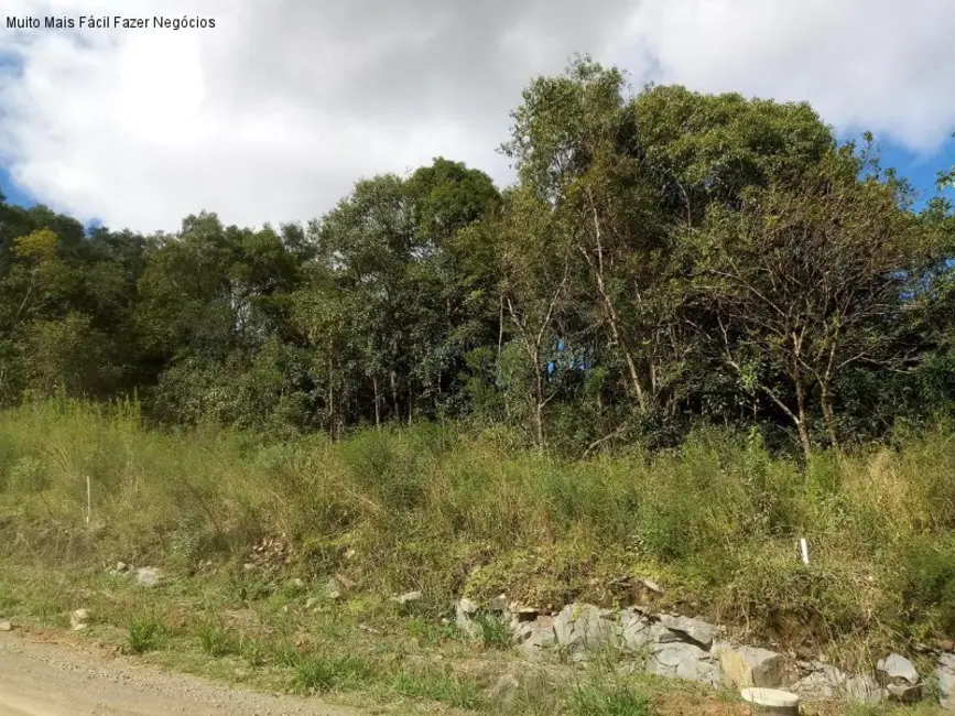Terreno / Lote à venda, 389m2 em Nova Petropolis - RS - imagem 2 Foto 2 de Terreno / Lote à venda, 389m2 em Nova Petropolis - RS