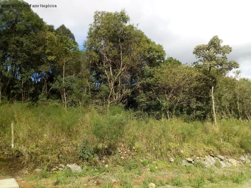 Terreno / Lote à venda, 389m2 em Nova Petropolis - RS - imagem 1 Foto 1 de Terreno / Lote à venda, 389m2 em Nova Petropolis - RS