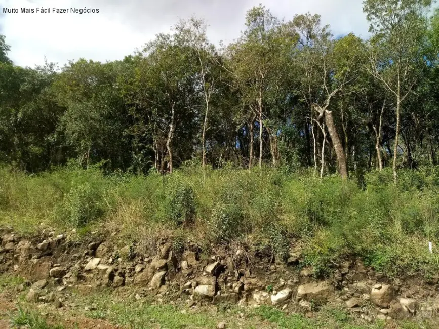 Foto 1 de Terreno / Lote à venda, 367m2 em Nova Petropolis - RS