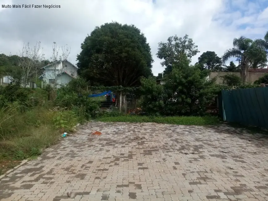 Foto 3 de Terreno / Lote à venda, 361m2 em Nova Petropolis - RS