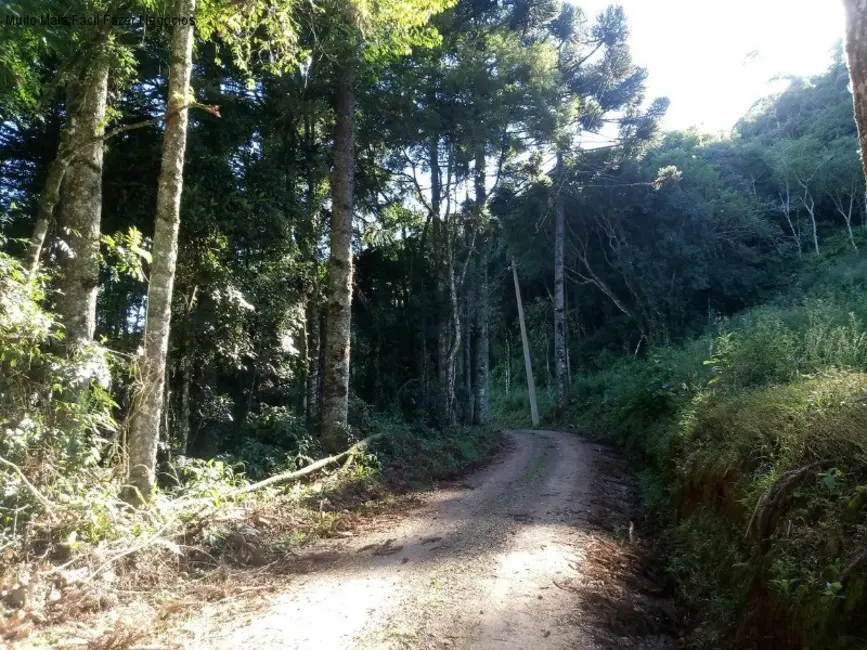 Terreno / Lote à venda em Nova Petropolis - RS - imagem 4 Foto 4 de Terreno / Lote à venda em Nova Petropolis - RS