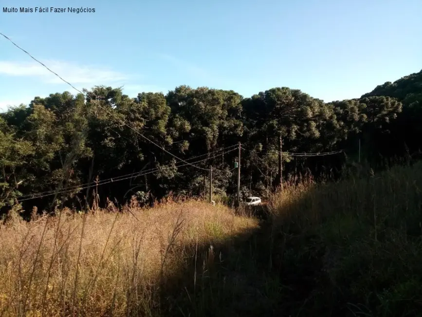 Terreno / Lote à venda em Nova Petropolis - RS - imagem 5 Foto 5 de Terreno / Lote à venda em Nova Petropolis - RS