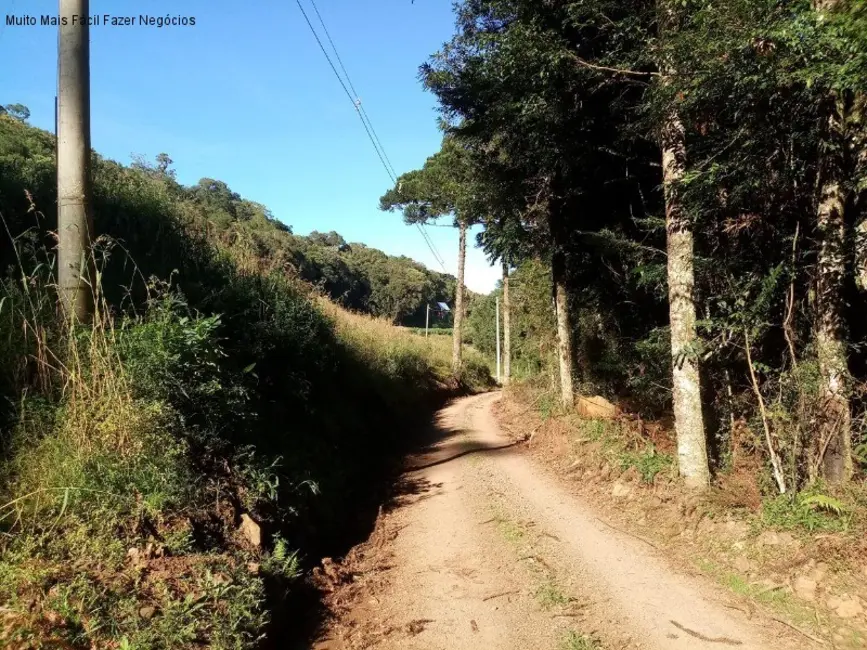 Terreno / Lote à venda em Nova Petropolis - RS - imagem 3 Foto 3 de Terreno / Lote à venda em Nova Petropolis - RS