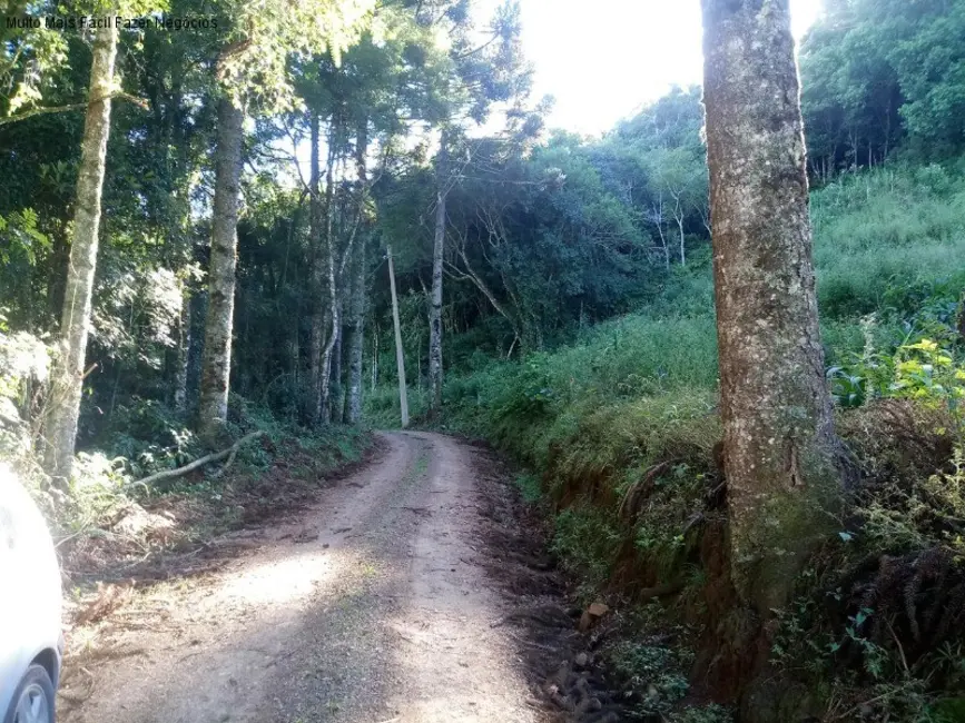 Foto 2 de Terreno / Lote à venda em Nova Petropolis - RS