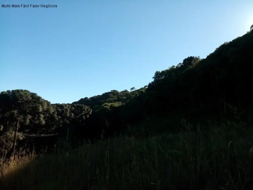 Terreno / Lote à venda em Nova Petropolis - RS - imagem 6 Foto 6 de Terreno / Lote à venda em Nova Petropolis - RS