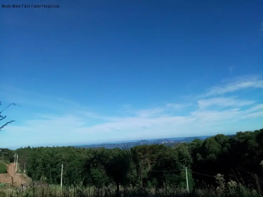 Foto 1 de Terreno / Lote à venda em Nova Petropolis - RS