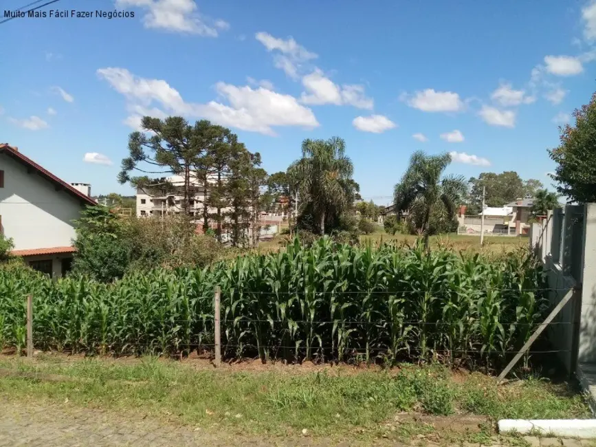 Foto 1 de Terreno / Lote à venda, 500m2 em Nova Petropolis - RS