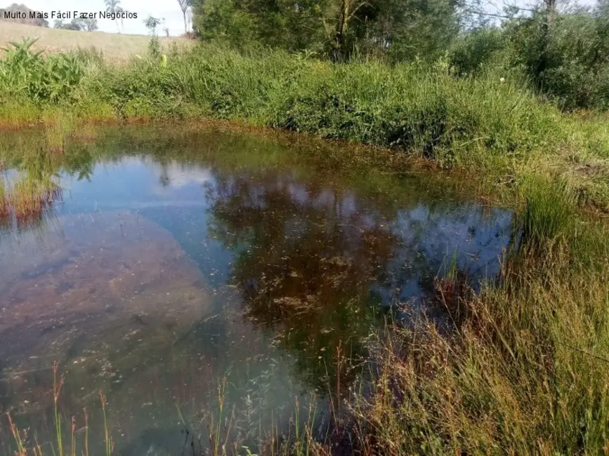 Terreno / Lote à venda em Nova Petropolis - RS - imagem 5 Foto 5 de Terreno / Lote à venda em Nova Petropolis - RS