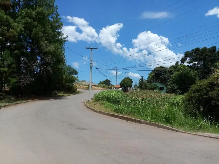 Terreno / Lote à venda, 450m2 em Nova Petropolis - RS - imagem 3 Foto 3 de Terreno / Lote à venda, 450m2 em Nova Petropolis - RS