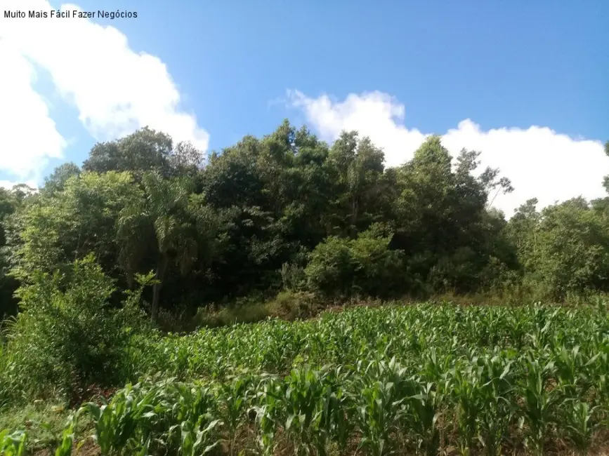Terreno / Lote à venda, 450m2 em Nova Petropolis - RS - imagem 3 Foto 3 de Terreno / Lote à venda, 450m2 em Nova Petropolis - RS