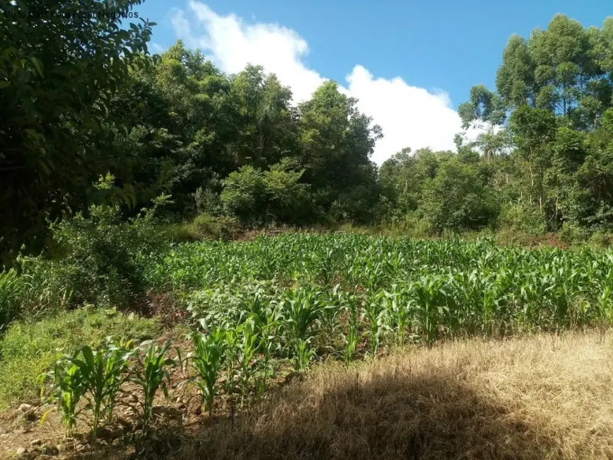 Foto 2 de Terreno / Lote à venda, 450m2 em Nova Petropolis - RS