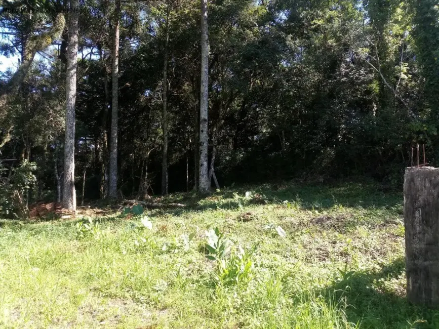 Terreno / Lote à venda, 680m2 em Nova Petropolis - RS - imagem 3 Foto 3 de Terreno / Lote à venda, 680m2 em Nova Petropolis - RS