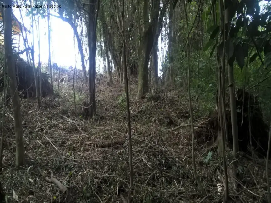 Terreno / Lote à venda, 394m2 em Nova Petropolis - RS - imagem 5 Foto 5 de Terreno / Lote à venda, 394m2 em Nova Petropolis - RS