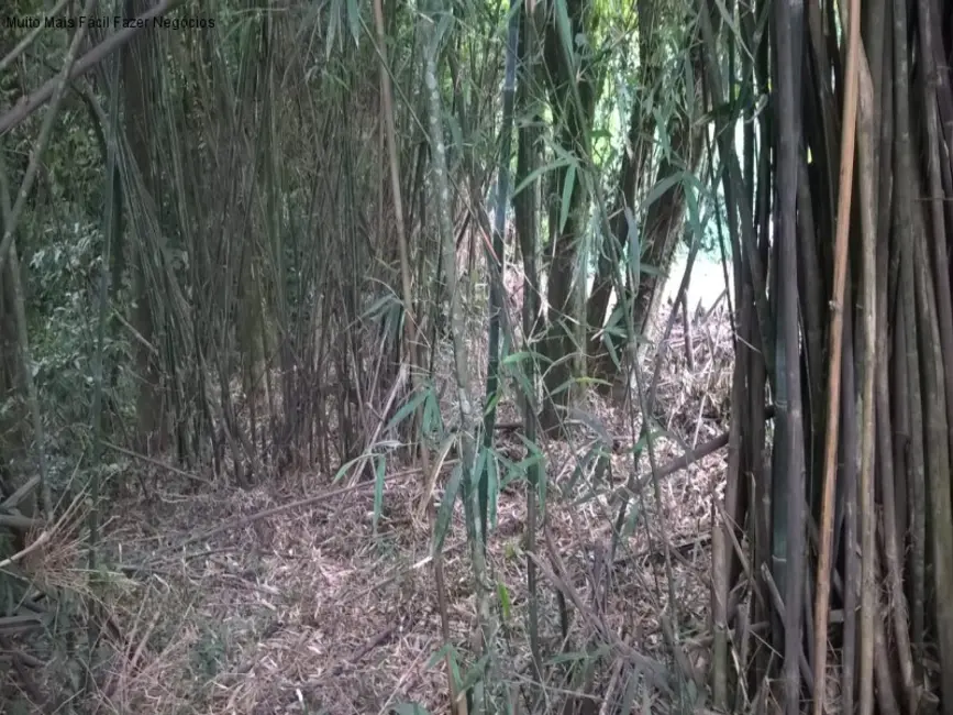 Terreno / Lote à venda, 394m2 em Nova Petropolis - RS - imagem 3 Foto 3 de Terreno / Lote à venda, 394m2 em Nova Petropolis - RS