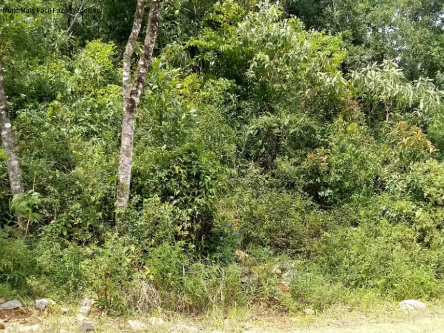 Terreno / Lote à venda, 371m2 em Nova Petropolis - RS - imagem 2 Foto 2 de Terreno / Lote à venda, 371m2 em Nova Petropolis - RS