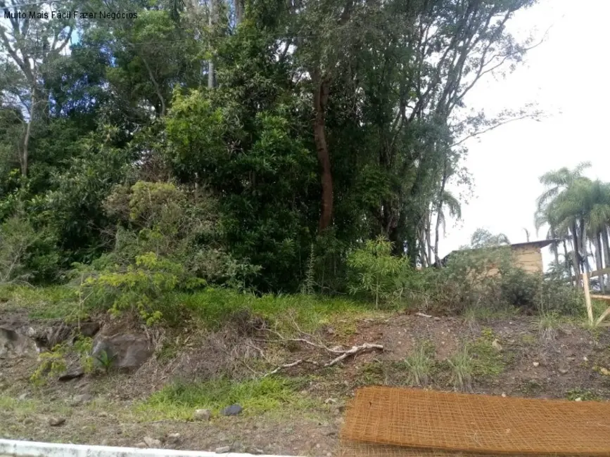 Foto 2 de Terreno / Lote à venda, 556m2 em Nova Petropolis - RS