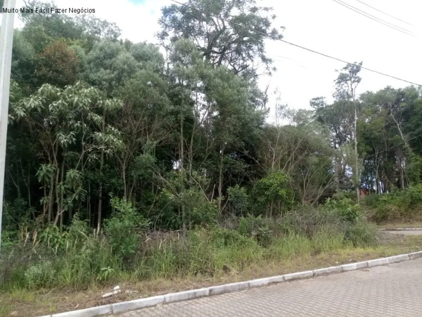 Terreno / Lote à venda, 507m2 em Nova Petropolis - RS - imagem 2 Foto 2 de Terreno / Lote à venda, 507m2 em Nova Petropolis - RS