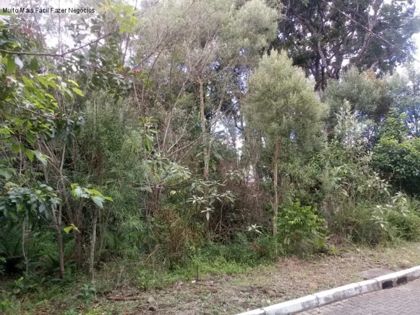 Foto 2 de Terreno / Lote à venda, 525m2 em Nova Petropolis - RS