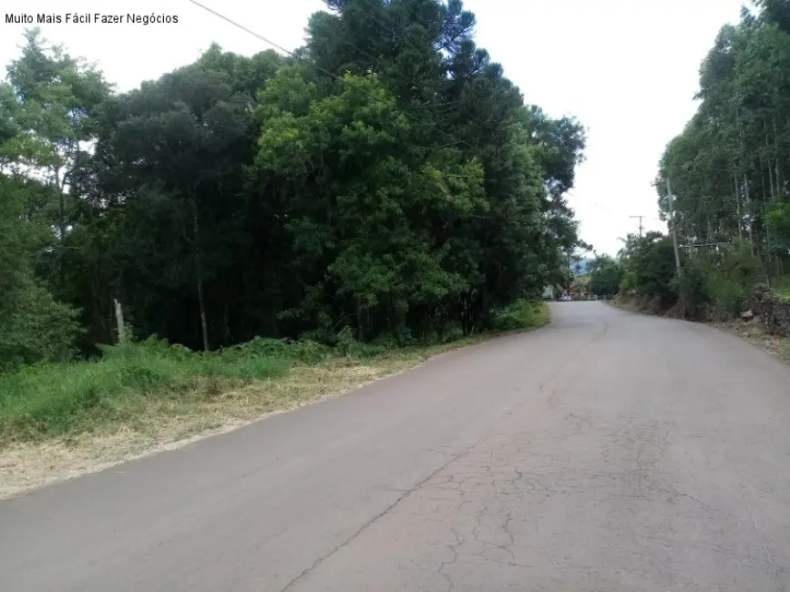 Foto 3 de Terreno / Lote à venda, 1093m2 em Nova Petropolis - RS