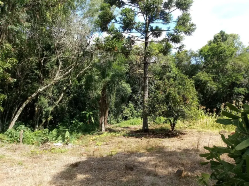 Foto 2 de Terreno / Lote à venda, 1093m2 em Nova Petropolis - RS