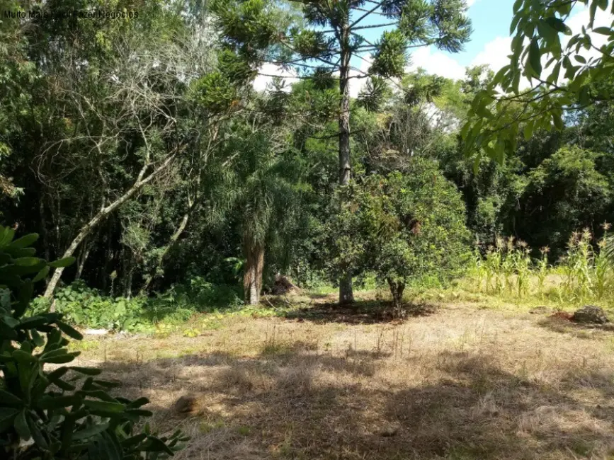 Foto 1 de Terreno / Lote à venda, 1093m2 em Nova Petropolis - RS