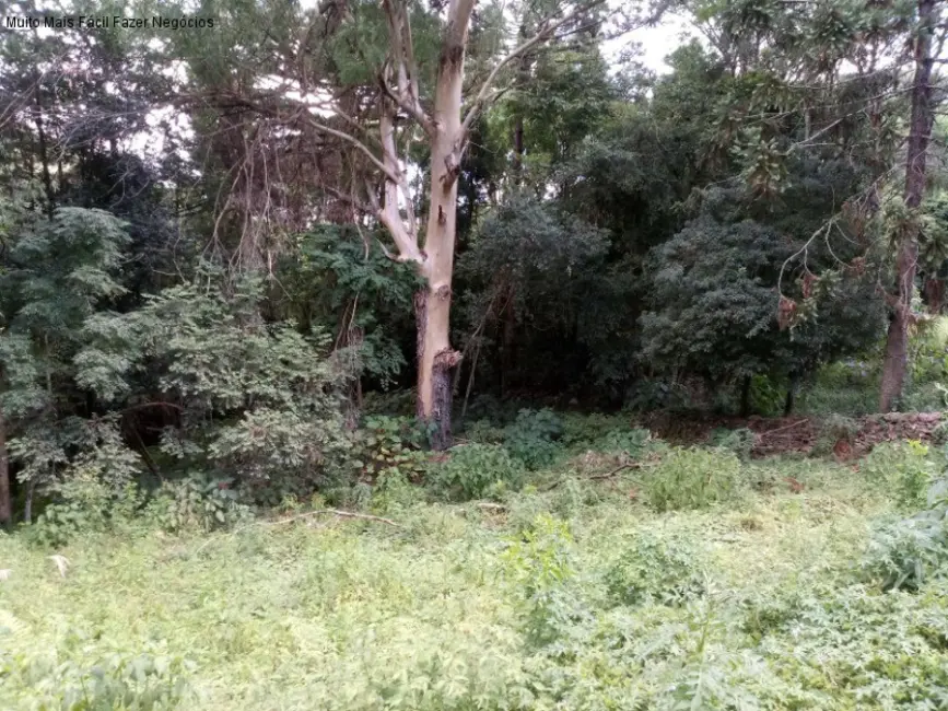 Foto 1 de Terreno / Lote à venda, 1093m2 em Nova Petropolis - RS