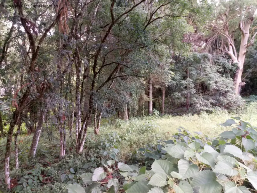 Foto 1 de Terreno / Lote à venda, 3190m2 em Nova Petropolis - RS