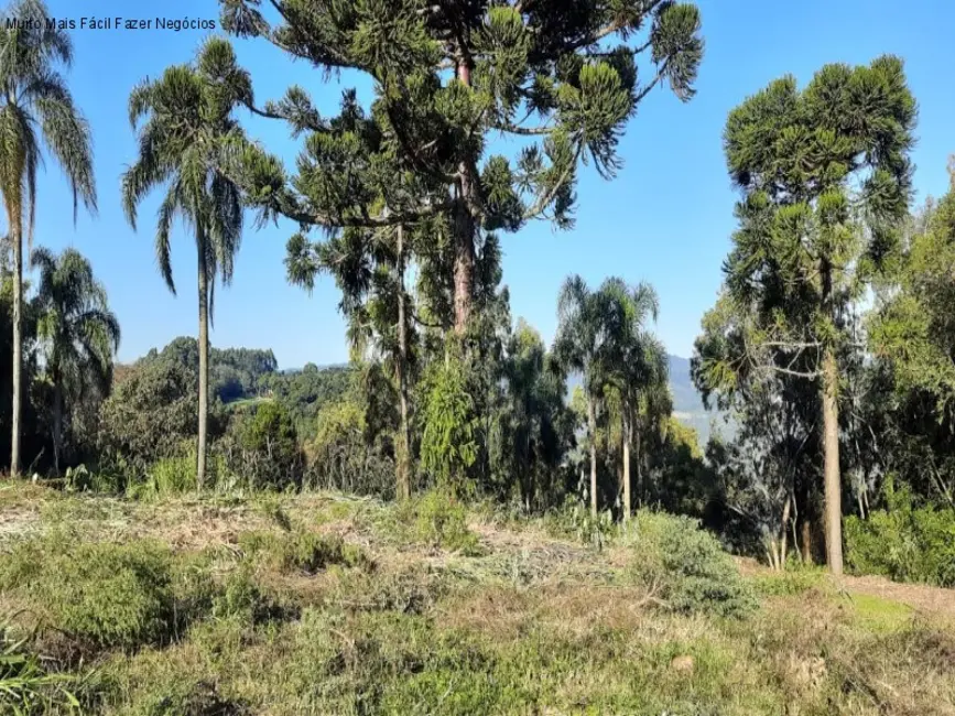 Terreno / Lote à venda, 392m2 em Nova Petropolis - RS - imagem 1 Foto 1 de Terreno / Lote à venda, 392m2 em Nova Petropolis - RS