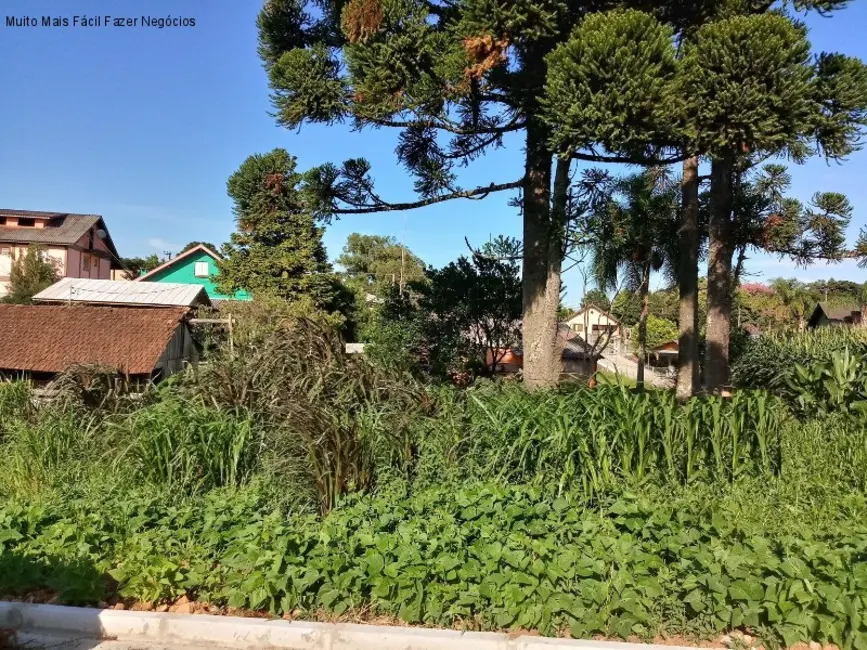 Terreno / Lote à venda, 363m2 em Nova Petropolis - RS - imagem 1 Foto 1 de Terreno / Lote à venda, 363m2 em Nova Petropolis - RS