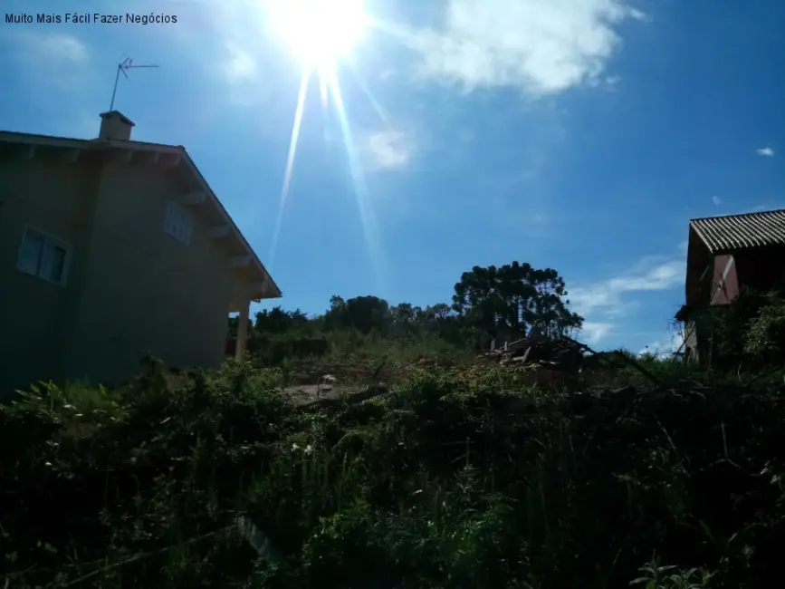 Foto 2 de Terreno / Lote à venda, 480m2 em Nova Petropolis - RS