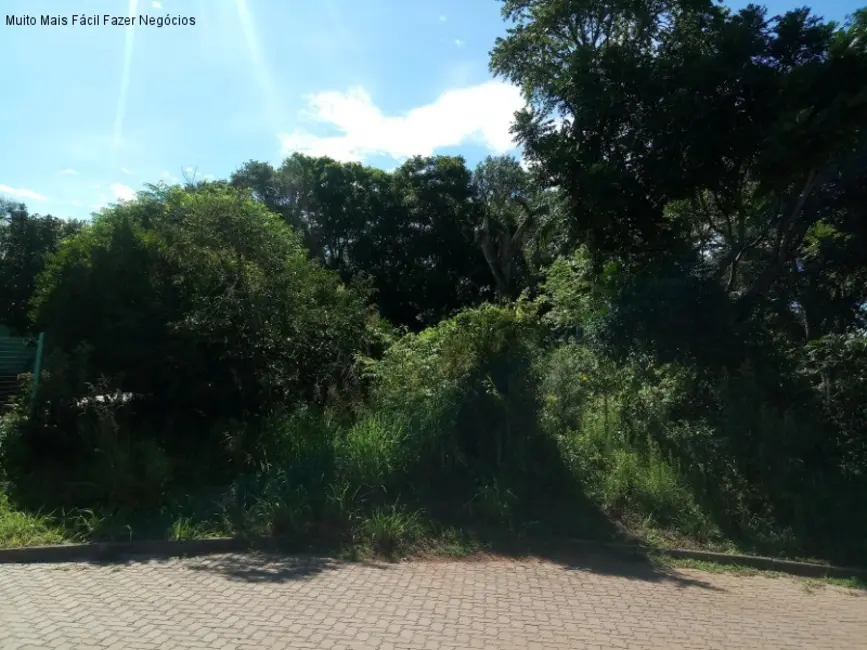 Terreno / Lote à venda, 924m2 em Nova Petropolis - RS - imagem 5 Foto 5 de Terreno / Lote à venda, 924m2 em Nova Petropolis - RS