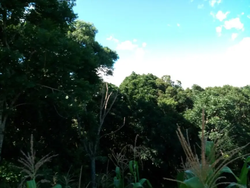 Terreno / Lote à venda, 924m2 em Nova Petropolis - RS - imagem 6 Foto 6 de Terreno / Lote à venda, 924m2 em Nova Petropolis - RS
