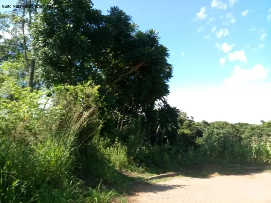 Terreno / Lote à venda, 924m2 em Nova Petropolis - RS - imagem 3 Foto 3 de Terreno / Lote à venda, 924m2 em Nova Petropolis - RS