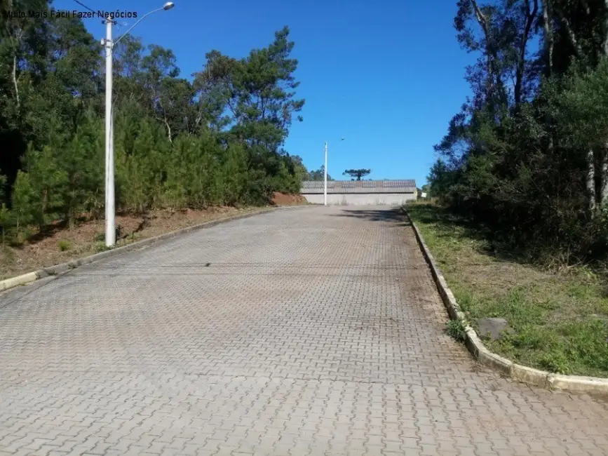 Foto 1 de Terreno / Lote à venda, 509m2 em Nova Petropolis - RS