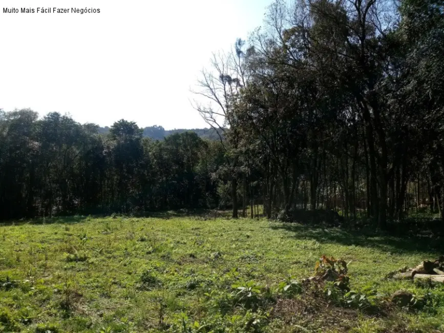 Terreno / Lote à venda em Nova Petropolis - RS - imagem 6 Foto 6 de Terreno / Lote à venda em Nova Petropolis - RS