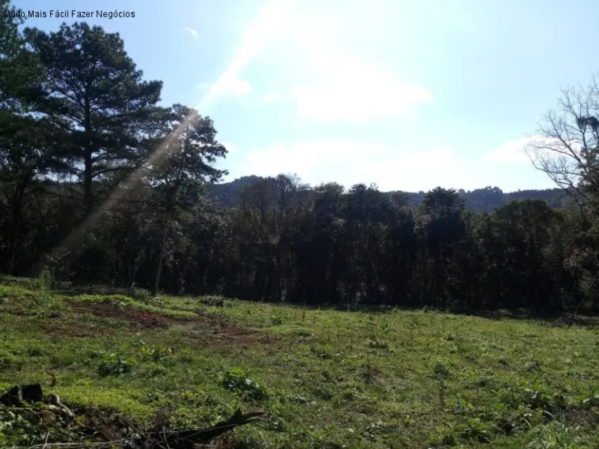 Terreno / Lote à venda em Nova Petropolis - RS - imagem 5 Foto 5 de Terreno / Lote à venda em Nova Petropolis - RS