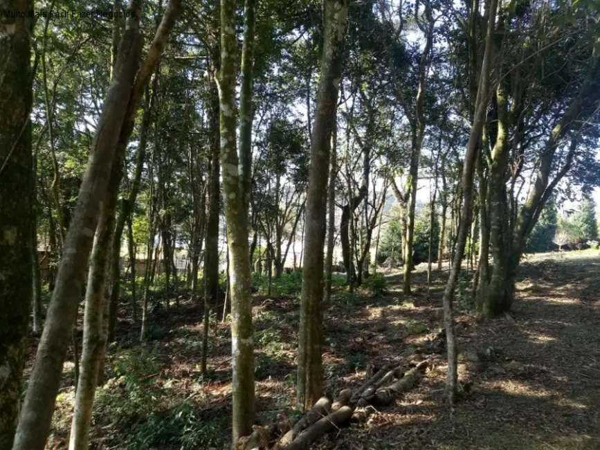 Terreno / Lote à venda em Nova Petropolis - RS - imagem 2 Foto 2 de Terreno / Lote à venda em Nova Petropolis - RS