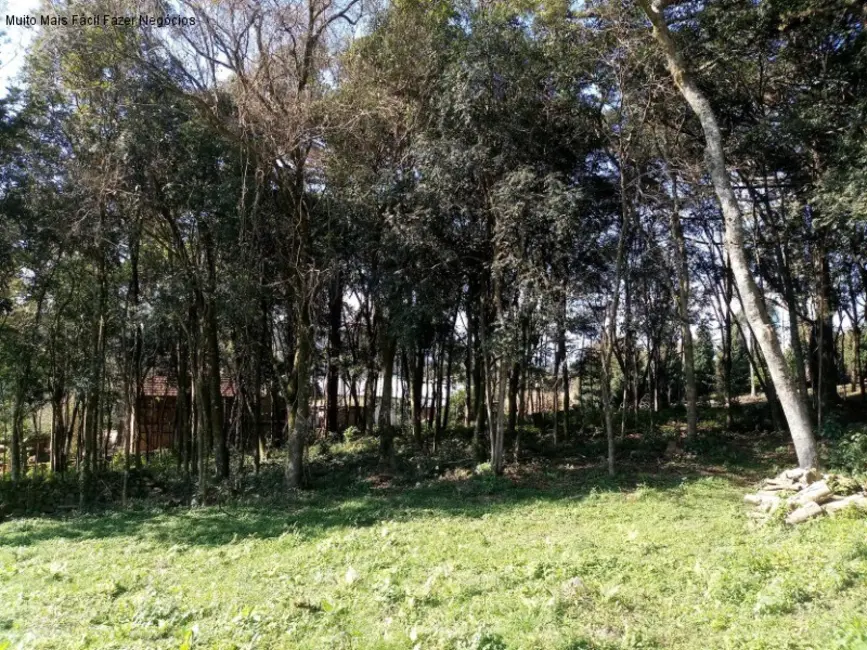 Terreno / Lote à venda em Nova Petropolis - RS - imagem 7 Foto 7 de Terreno / Lote à venda em Nova Petropolis - RS