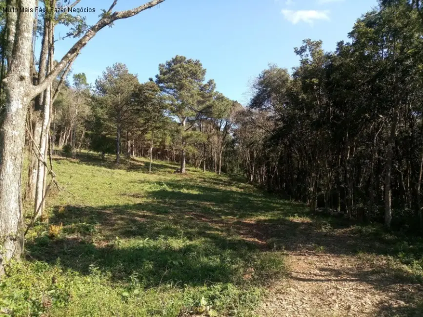 Terreno / Lote à venda em Nova Petropolis - RS - imagem 1 Foto 1 de Terreno / Lote à venda em Nova Petropolis - RS